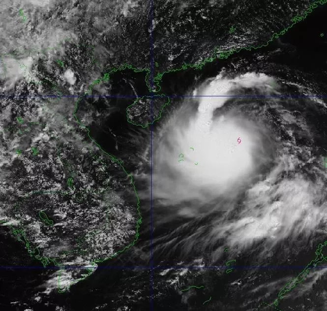 bao (1)1755941190.webp